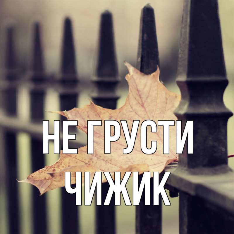 Картинка Не грусти, Чижик