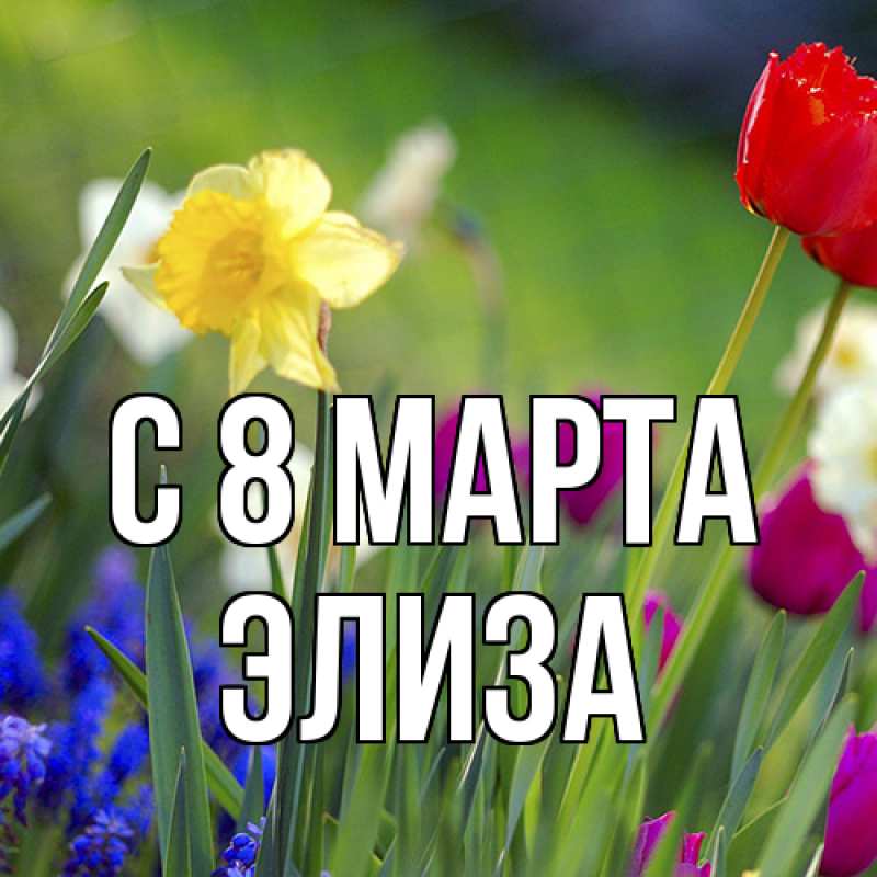 Картинка C 8 МАРТА, Элиза