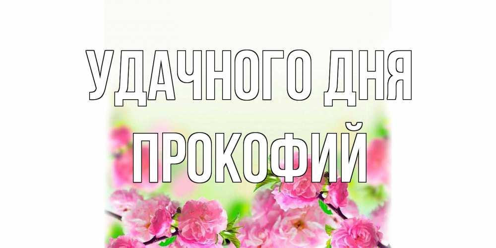 Открытка на каждый день с именем, Прокофий Удачного дня цветы Прикольная открытка с пожеланием онлайн скачать бесплатно 