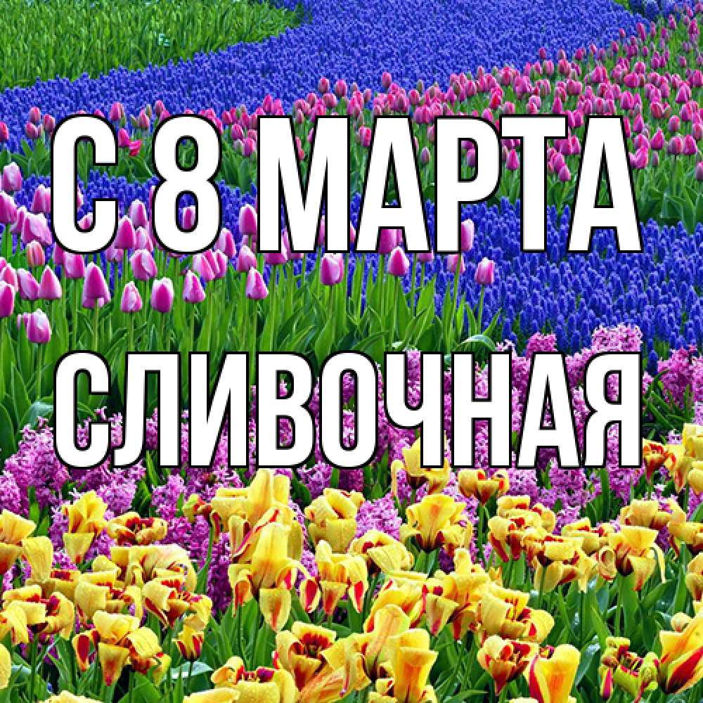 Открытка на каждый день с именем, Сливочная C 8 МАРТА цветы Прикольная открытка с пожеланием онлайн скачать бесплатно 