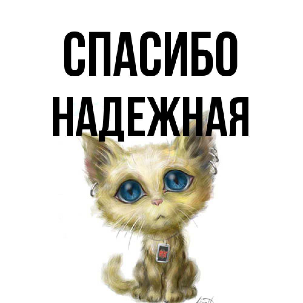 Открытка на каждый день с именем, надежная Спасибо рисованный кот благодарит вас Прикольная открытка с пожеланием онлайн скачать бесплатно 