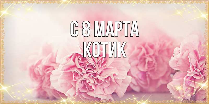 Картинка C 8 МАРТА, Котик