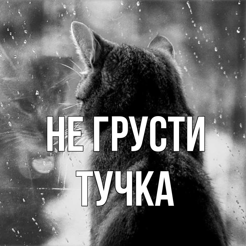 Открытка на каждый день с именем, Тучка Не грусти отражение кота 1 Прикольная открытка с пожеланием онлайн скачать бесплатно 