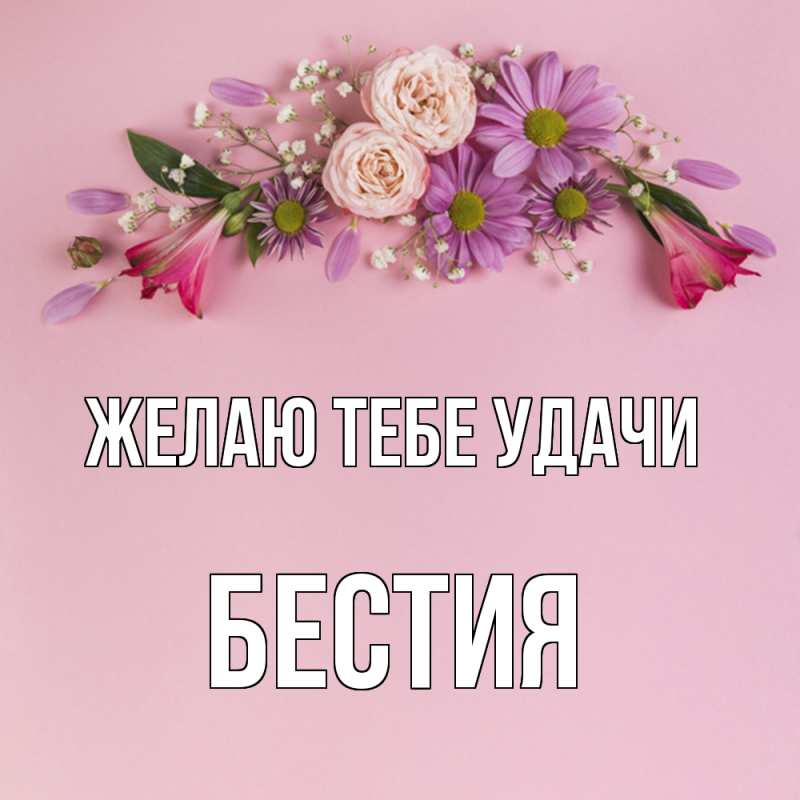 Картинка Желаю тебе удачи, Бестия