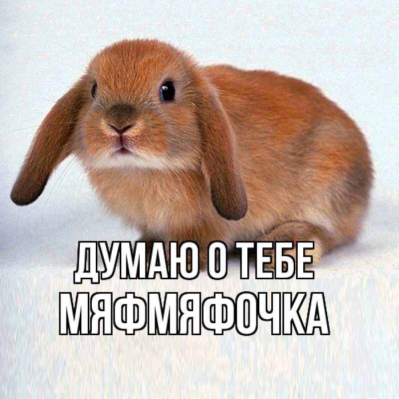 Картинка Думаю о тебе, мяфмяфочка
