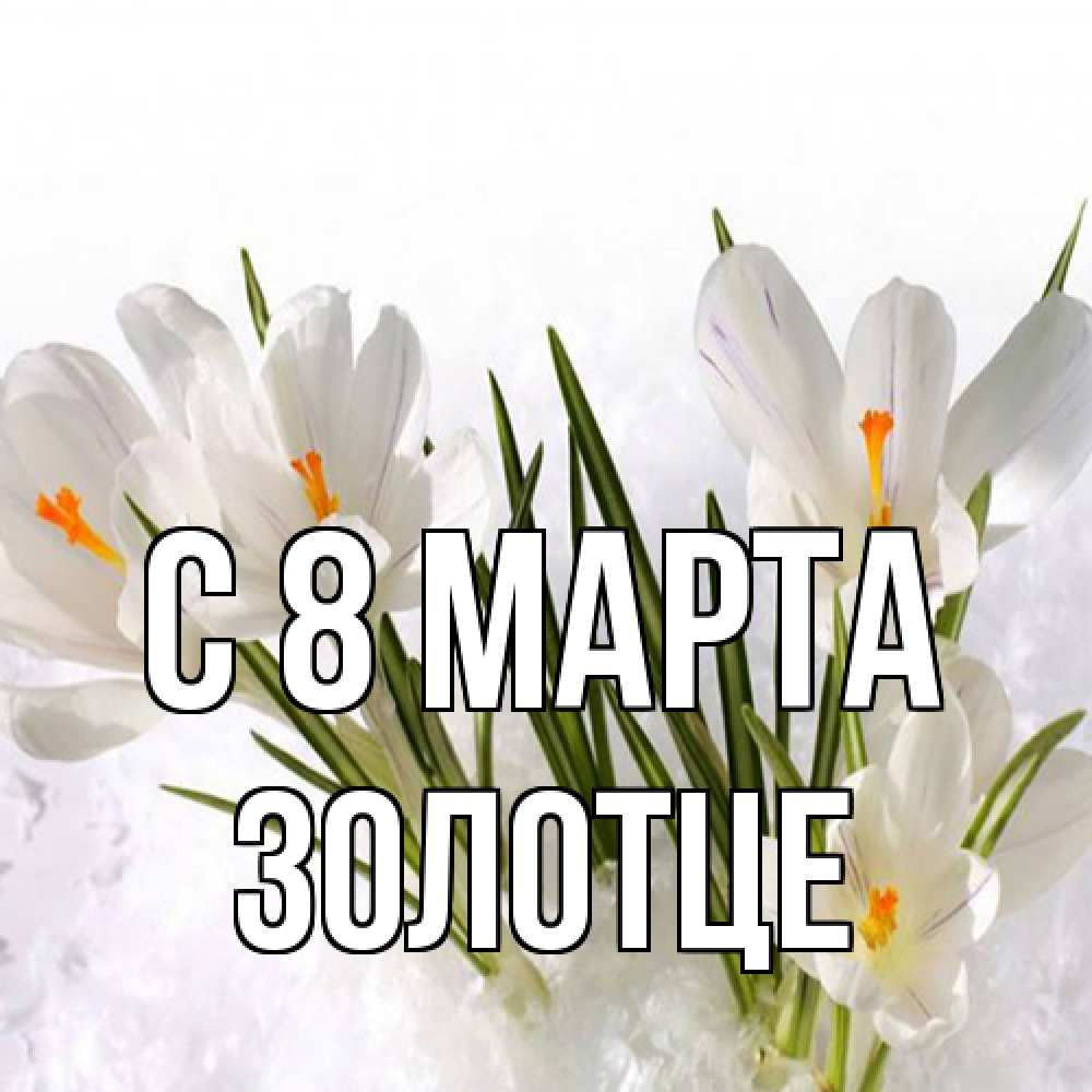 Открытка на каждый день с именем, Золотце C 8 МАРТА под снегом Прикольная открытка с пожеланием онлайн скачать бесплатно 