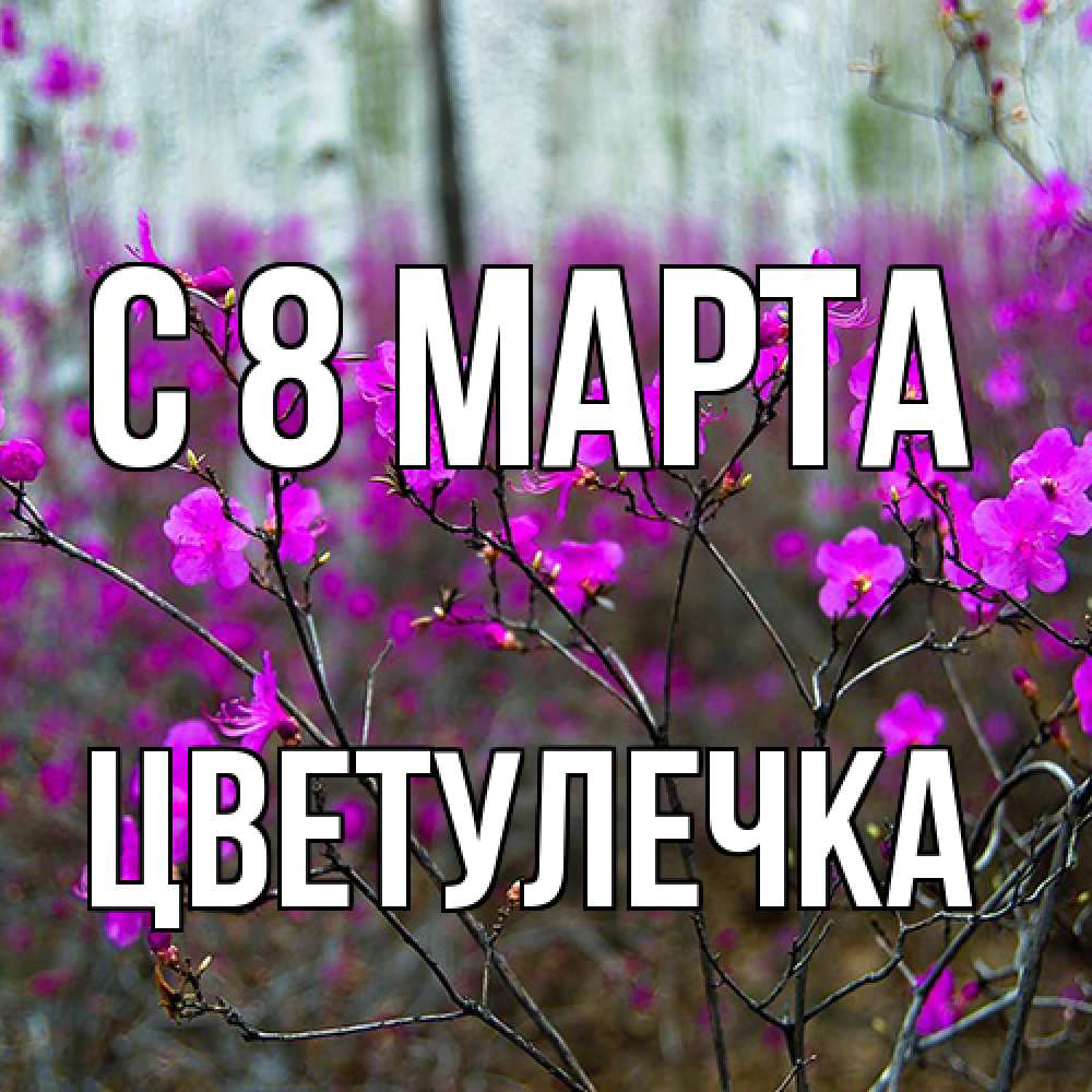Открытка на каждый день с именем, Цветулечка C 8 МАРТА дикие цветы Прикольная открытка с пожеланием онлайн скачать бесплатно 
