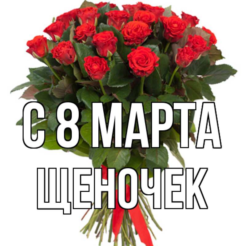 Картинка C 8 МАРТА, Щеночек