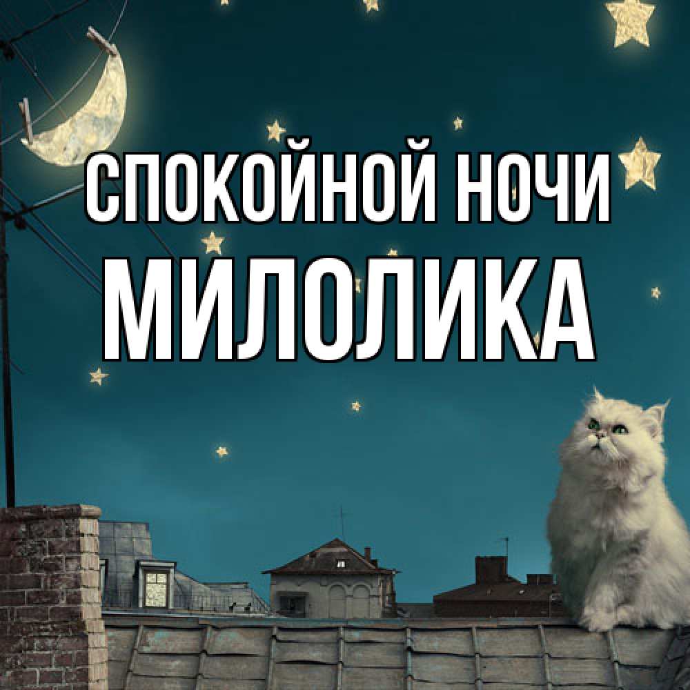 Открытка на каждый день с именем, Милолика Спокойной ночи белый кот сидит на крыше Прикольная открытка с пожеланием онлайн скачать бесплатно 