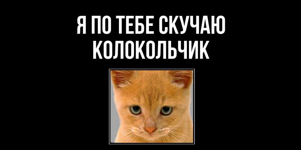 Открытка на каждый день с именем, Колокольчик Я по тебе скучаю открытки рыжий котенок скучает по тебе Прикольная открытка с пожеланием онлайн скачать бесплатно 