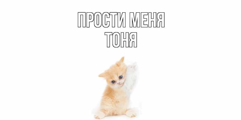 Картинка Прости меня, Тоня