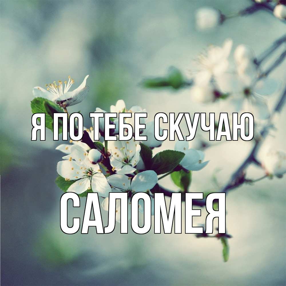 Открытка на каждый день с именем, Саломея Я по тебе скучаю весна Прикольная открытка с пожеланием онлайн скачать бесплатно 