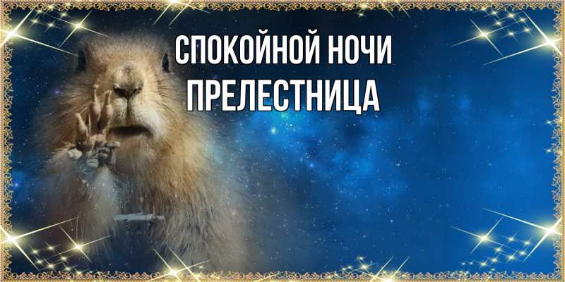 Картинка Спокойной ночи, пpелестница