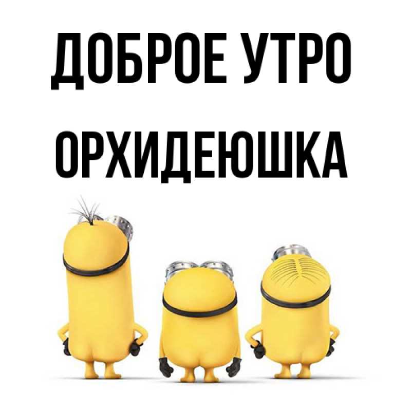 Картинка Доброе утро, Орхидеюшка