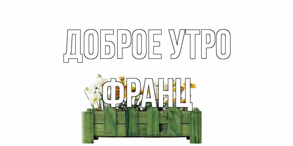 Открытка на каждый день с именем, Франц Доброе утро цветы Прикольная открытка с пожеланием онлайн скачать бесплатно 