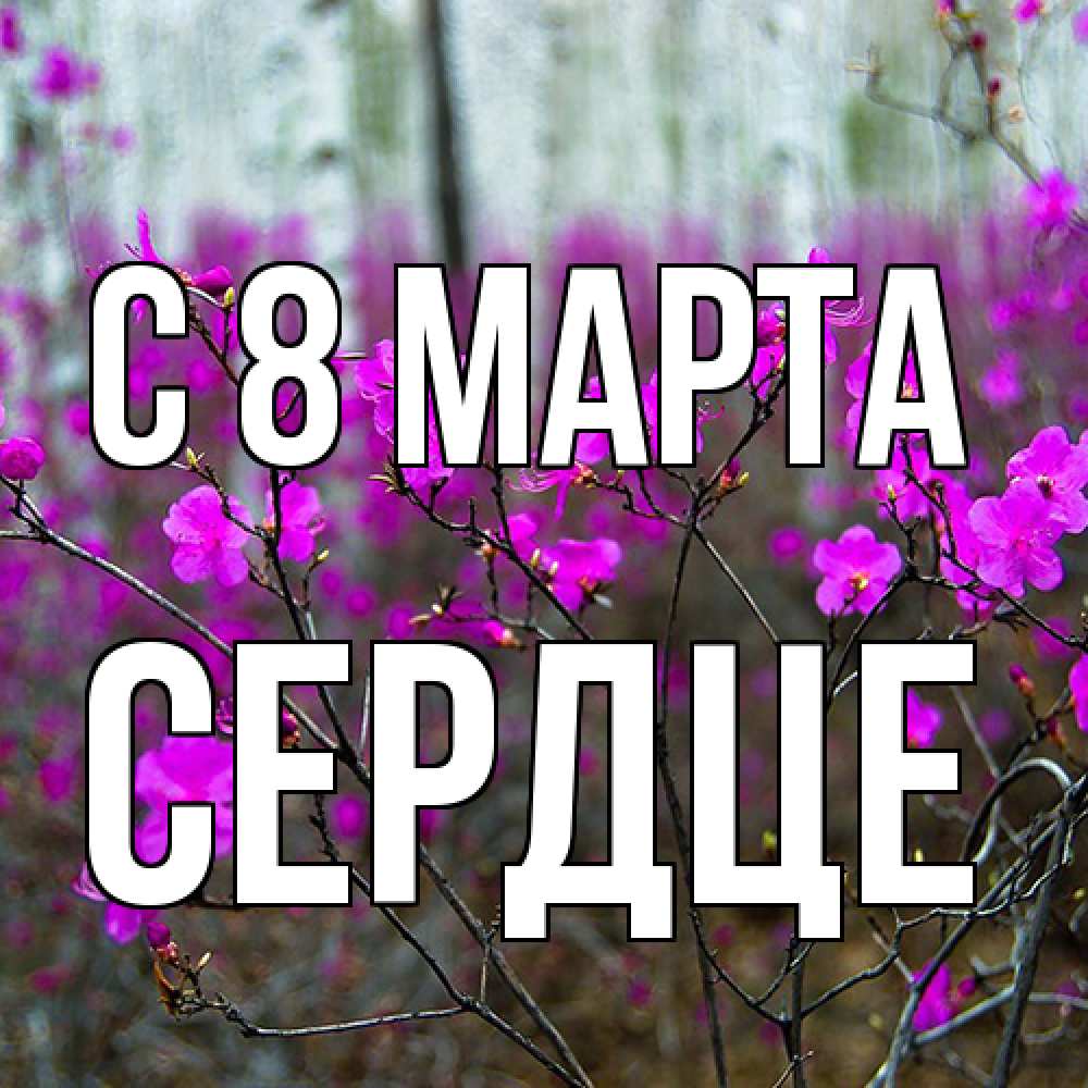 Открытка на каждый день с именем, сердце C 8 МАРТА дикие цветы Прикольная открытка с пожеланием онлайн скачать бесплатно 