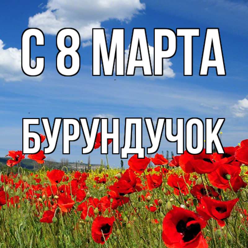 Картинка C 8 МАРТА, бурундучок
