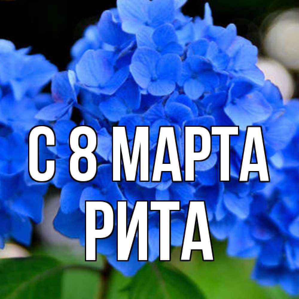Открытка на каждый день с именем, Рита C 8 МАРТА синие цветы Прикольная открытка с пожеланием онлайн скачать бесплатно 