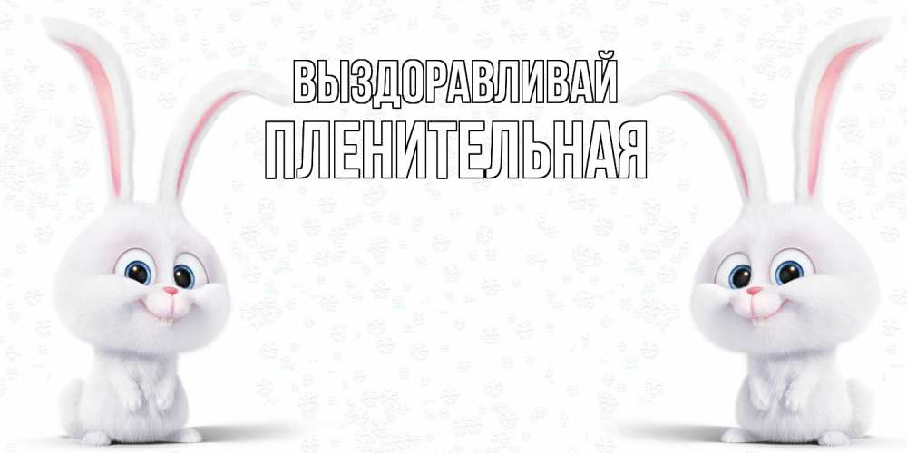 Открытка на каждый день с именем, пленительная Выздоравливай не болей с зайцем Прикольная открытка с пожеланием онлайн скачать бесплатно 