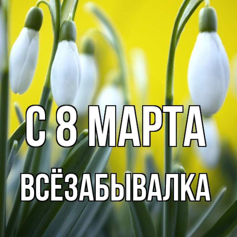 Картинка C 8 МАРТА, Всёзабывалка