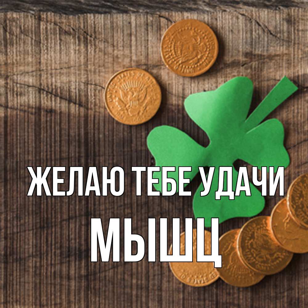 Открытка на каждый день с именем, Мышц Желаю тебе удачи на удачу сегодня Прикольная открытка с пожеланием онлайн скачать бесплатно 
