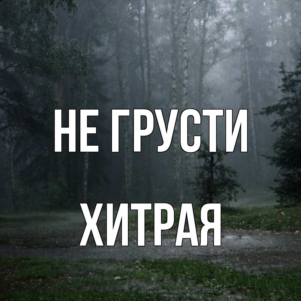 Открытка на каждый день с именем, хитрая Не грусти осень Прикольная открытка с пожеланием онлайн скачать бесплатно 