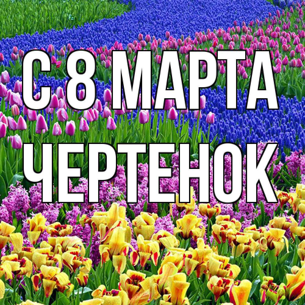 Открытка на каждый день с именем, чеpтенок C 8 МАРТА цветы Прикольная открытка с пожеланием онлайн скачать бесплатно 