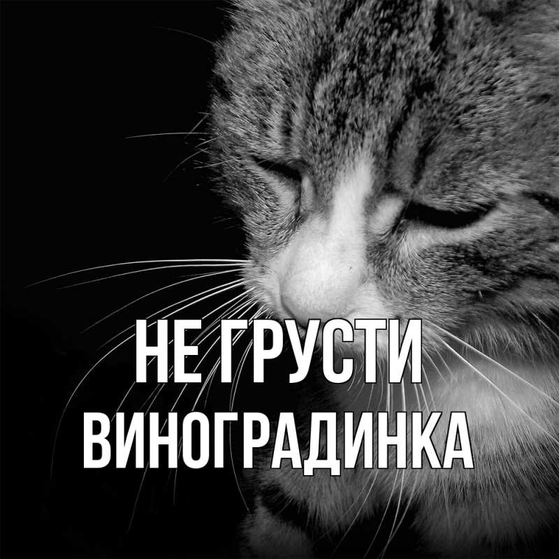 Картинка Не грусти, виноградинка