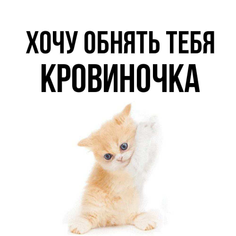 Открытка на каждый день с именем, кровиночка Хочу обнять тебя я хочу очень скорее обнимаешек Прикольная открытка с пожеланием онлайн скачать бесплатно 