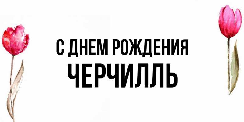 Картинка С днем рождения, Черчилль