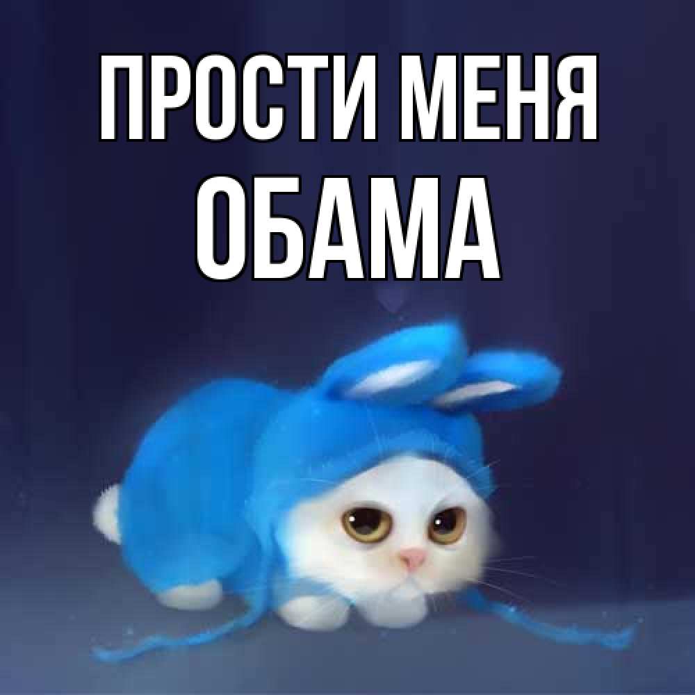 Открытка на каждый день с именем, Обама Прости меня невинный котозай просит прощения Прикольная открытка с пожеланием онлайн скачать бесплатно 