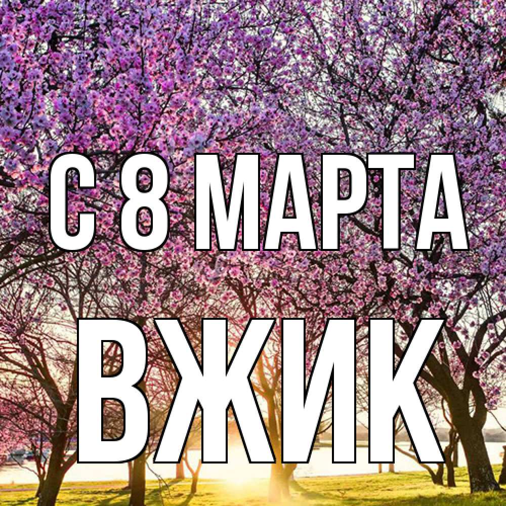 Открытка на каждый день с именем, Вжик C 8 МАРТА международный женский день Прикольная открытка с пожеланием онлайн скачать бесплатно 