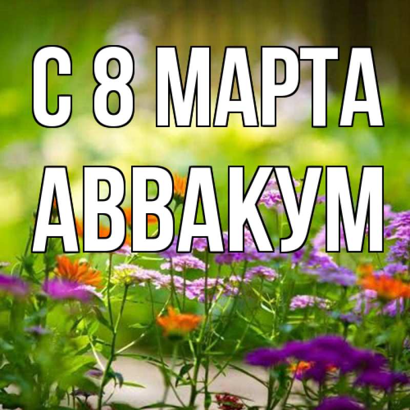 Картинка C 8 МАРТА, Аввакум