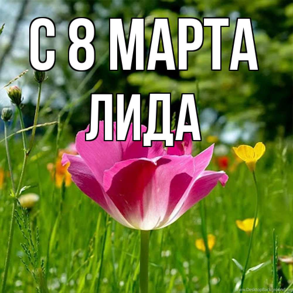 Открытка на каждый день с именем, Лида C 8 МАРТА полевые цветы Прикольная открытка с пожеланием онлайн скачать бесплатно 