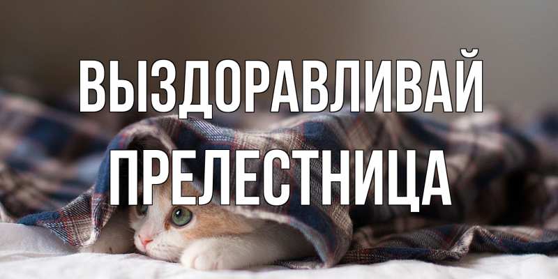 Картинка Выздоравливай, Прелестница