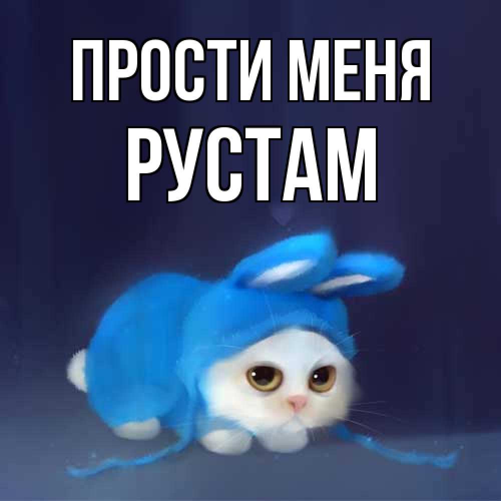 Открытка на каждый день с именем, Рустам Прости меня невинный котозай просит прощения Прикольная открытка с пожеланием онлайн скачать бесплатно 