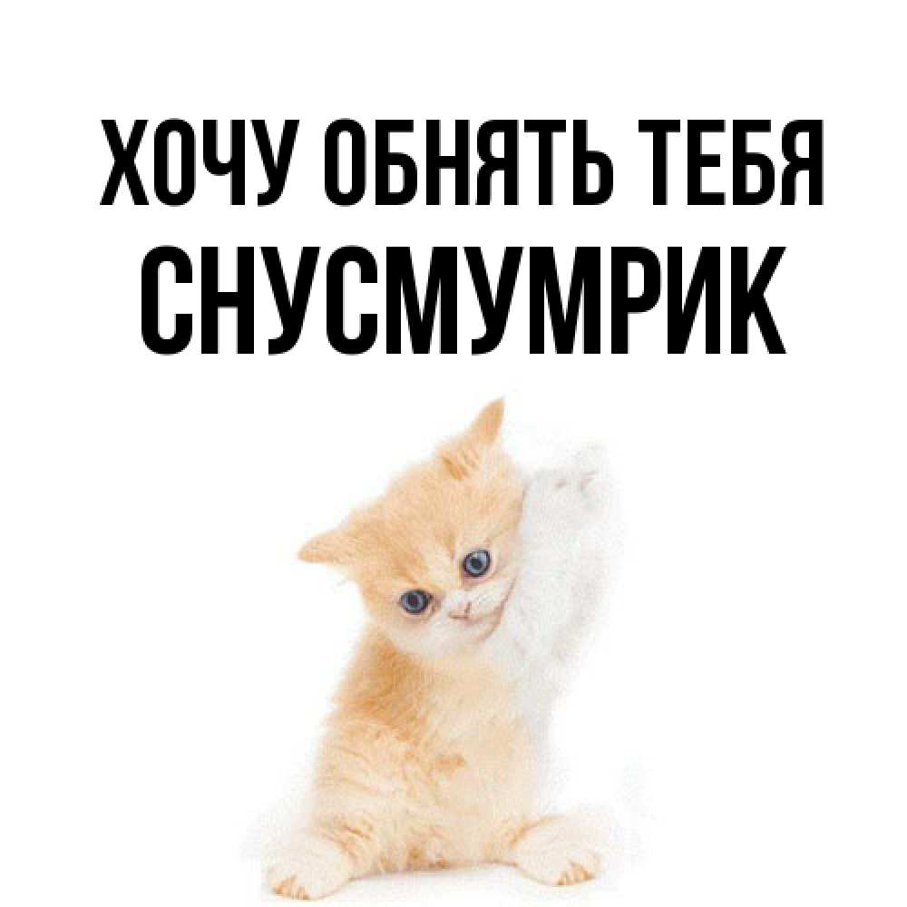 Открытка на каждый день с именем, Снусмумрик Хочу обнять тебя я хочу очень скорее обнимаешек Прикольная открытка с пожеланием онлайн скачать бесплатно 