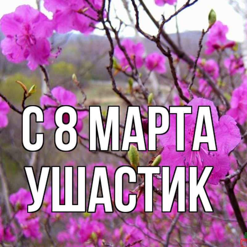 Картинка C 8 МАРТА, Ушастик
