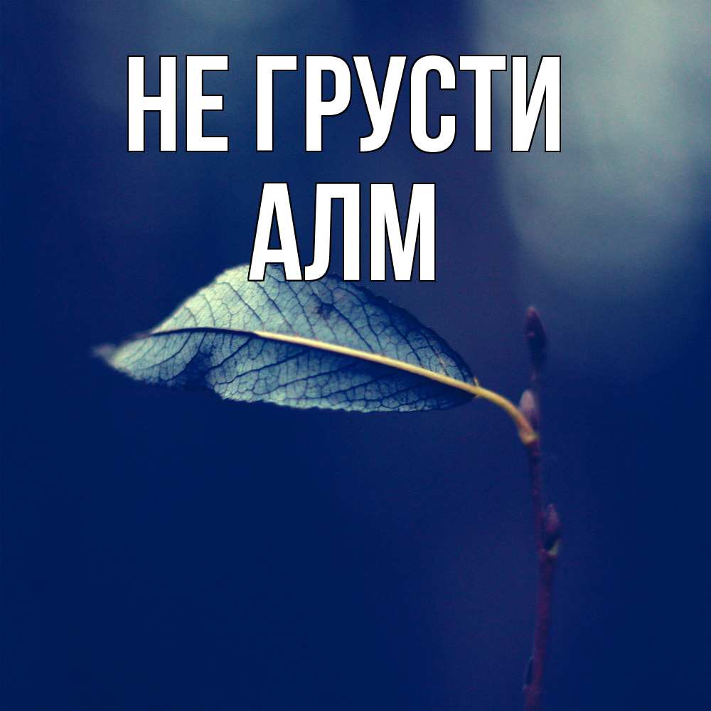 Открытка на каждый день с именем, Алм Не грусти растение Прикольная открытка с пожеланием онлайн скачать бесплатно 