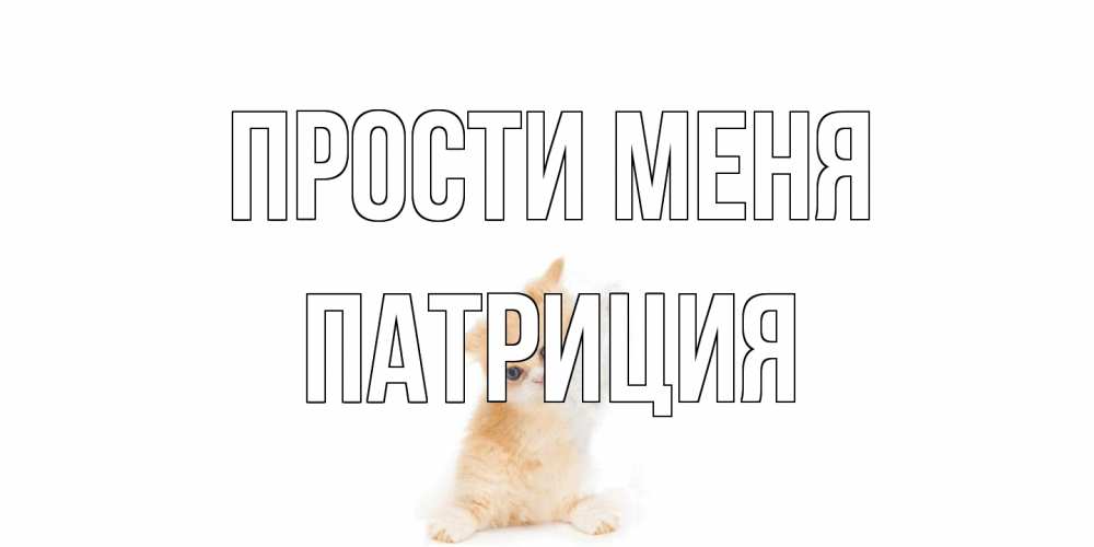 Открытка на каждый день с именем, Патриция Прости меня кот Прикольная открытка с пожеланием онлайн скачать бесплатно 
