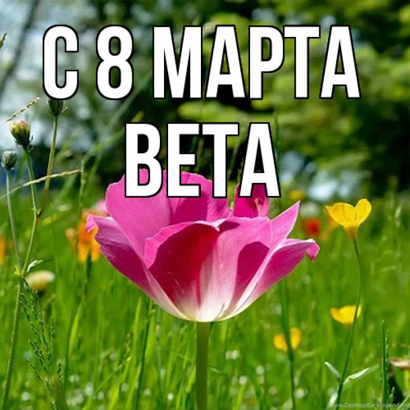 Картинка C 8 МАРТА, Вета