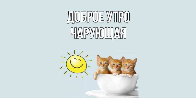 Картинка Доброе утро, Чаpующая