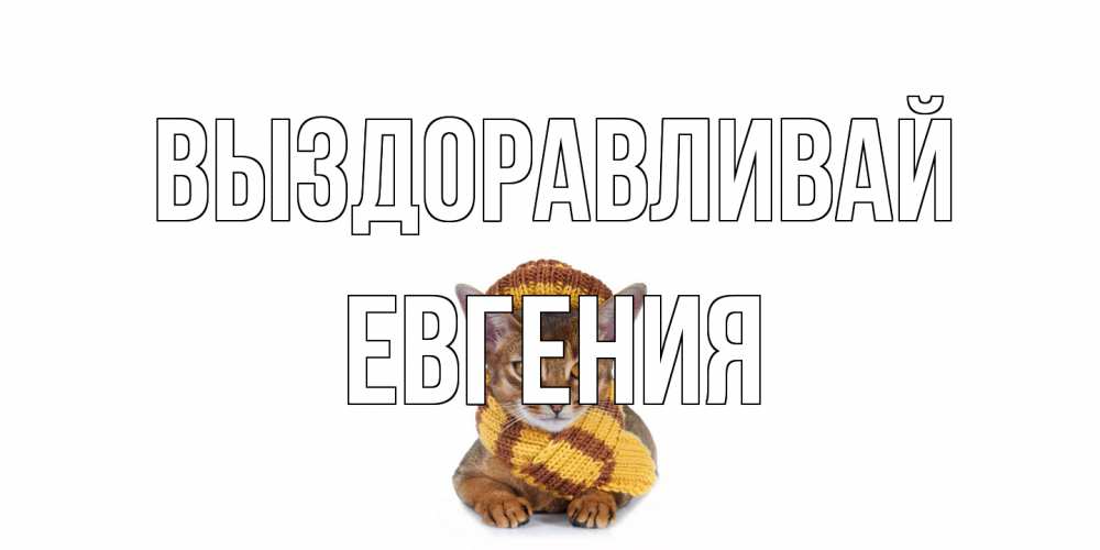 Открытка на каждый день с именем, Евгения Выздоравливай родные не болейте Прикольная открытка с пожеланием онлайн скачать бесплатно 