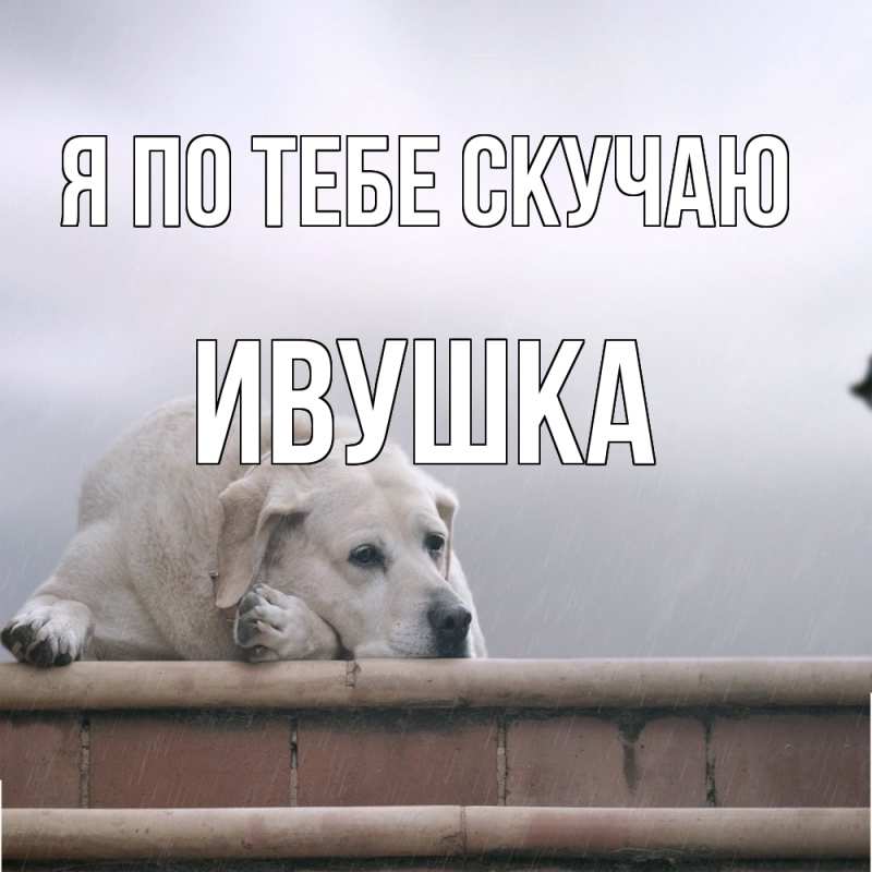 Картинка Я по тебе скучаю, Ивушка