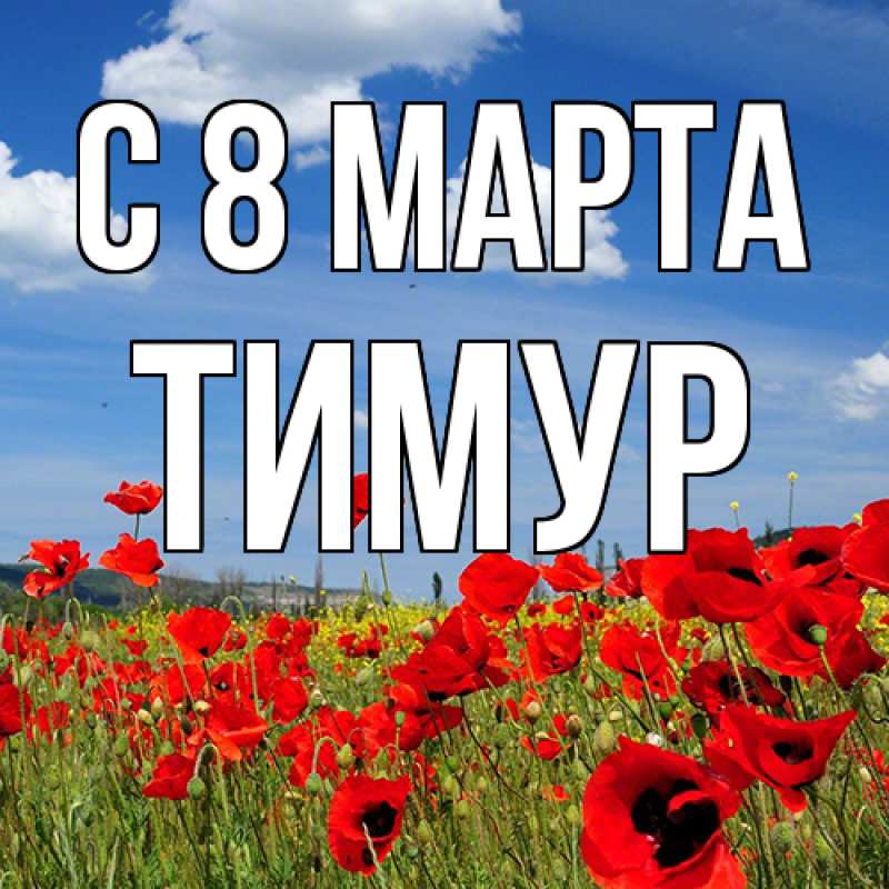 Картинка C 8 МАРТА, Тимур