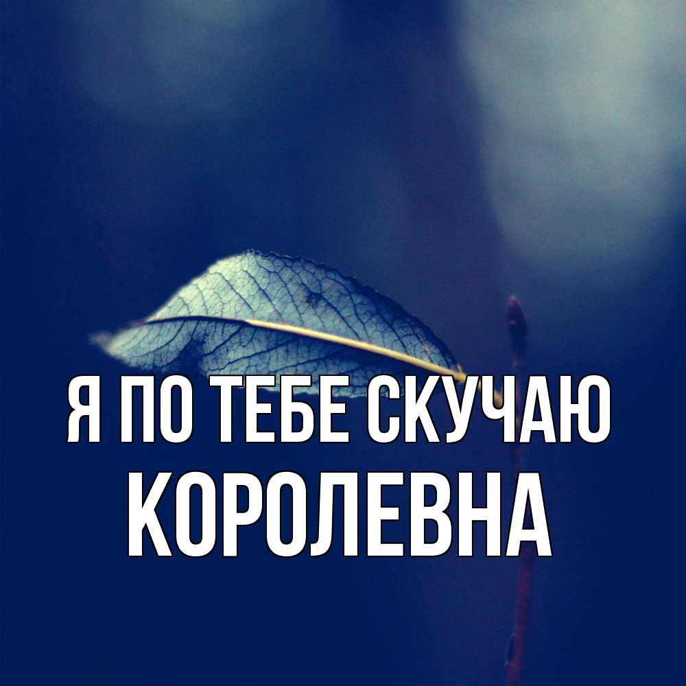 Открытка на каждый день с именем, Королевна Я по тебе скучаю одна ветка 1 Прикольная открытка с пожеланием онлайн скачать бесплатно 