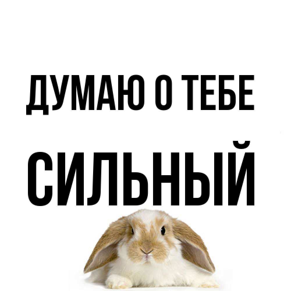 Открытка на каждый день с именем, Сильный Думаю о тебе подписать своими руками онлайн Прикольная открытка с пожеланием онлайн скачать бесплатно 