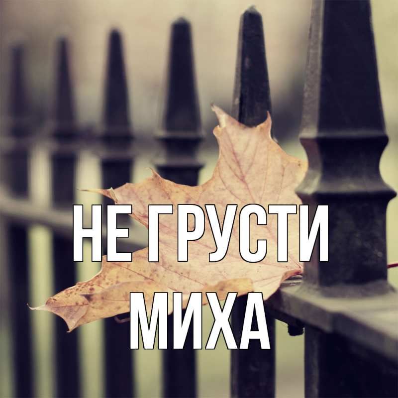 Картинка Не грусти, Миха