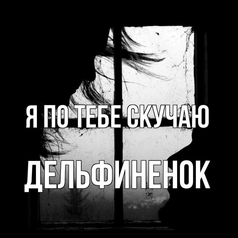 Картинка Я по тебе скучаю, дельфиненок