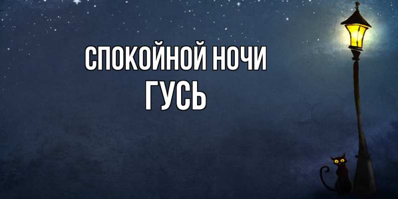 Картинка Спокойной ночи, Гусь